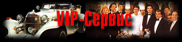 VIPBanner.jpg (19593 bytes)